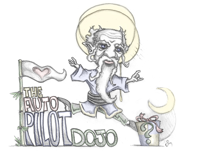 The Autopilot Dojo | Jolly Dojo
